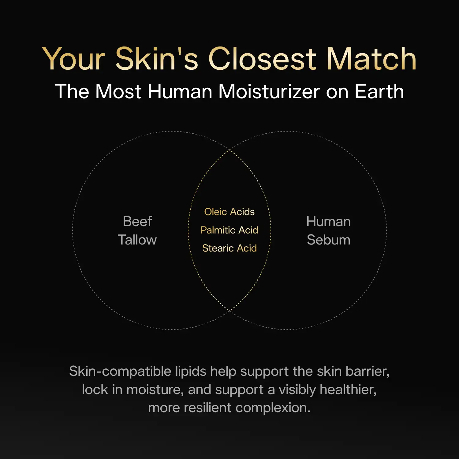 Tallow Moisturizer - Image 4