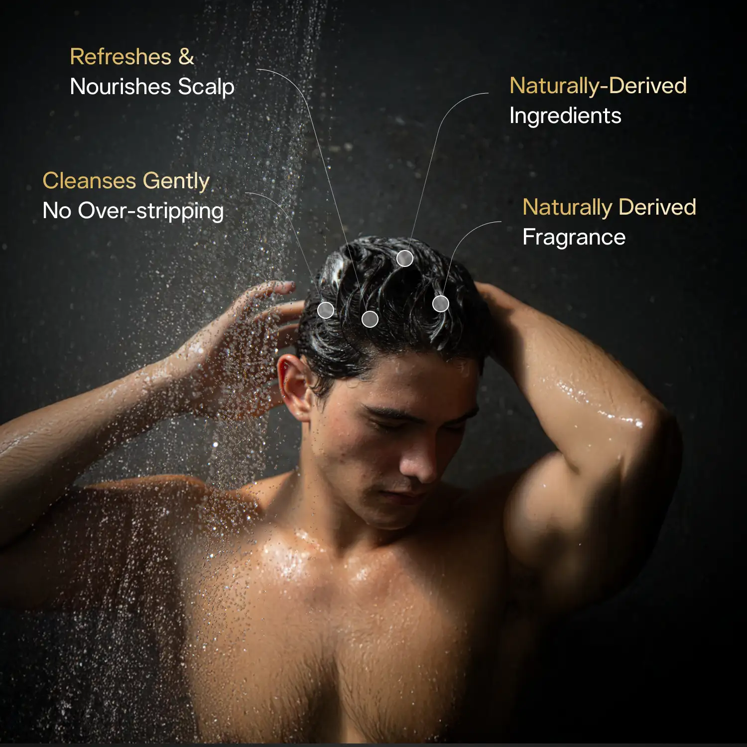 Shampoo - Image 2